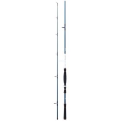 Caña Daiwa Spitfire Seabass | Náutica Leiro