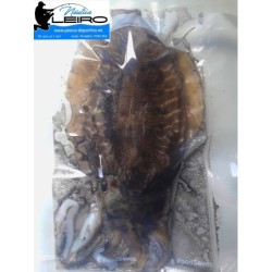Comprar Cebo de Mar Choco | Náutica Leiro