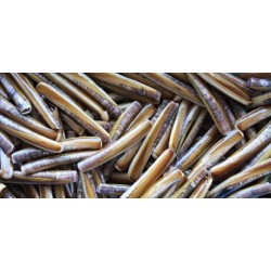 Comprar Cebo de Mar Navaja | Náutica Leiro
