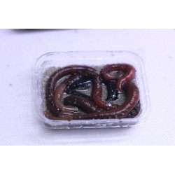 Comprar Cebo De Mar Coco | Náutica Leiro